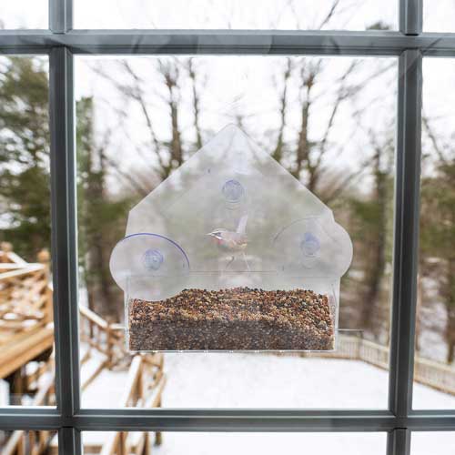 praktyczny karmnik dla ptaków